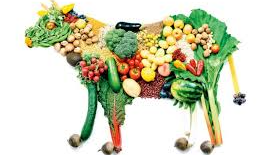Vegetariano