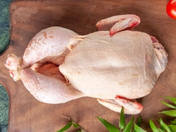 Pollo Entero sin Trabajar.