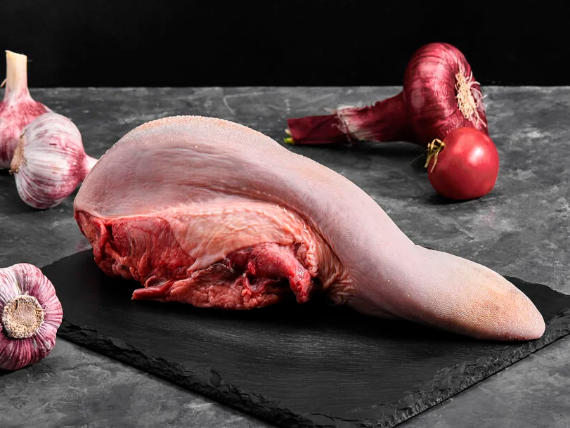 Lengua