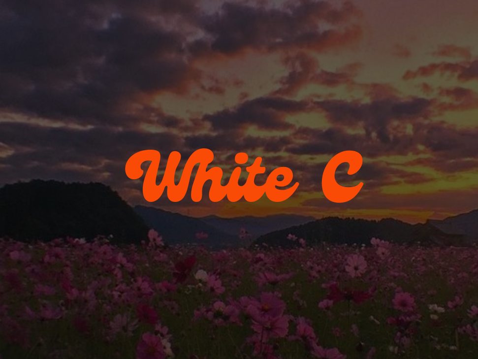 White C - Veggie de Burgueses - Cofico - Delivery y Take