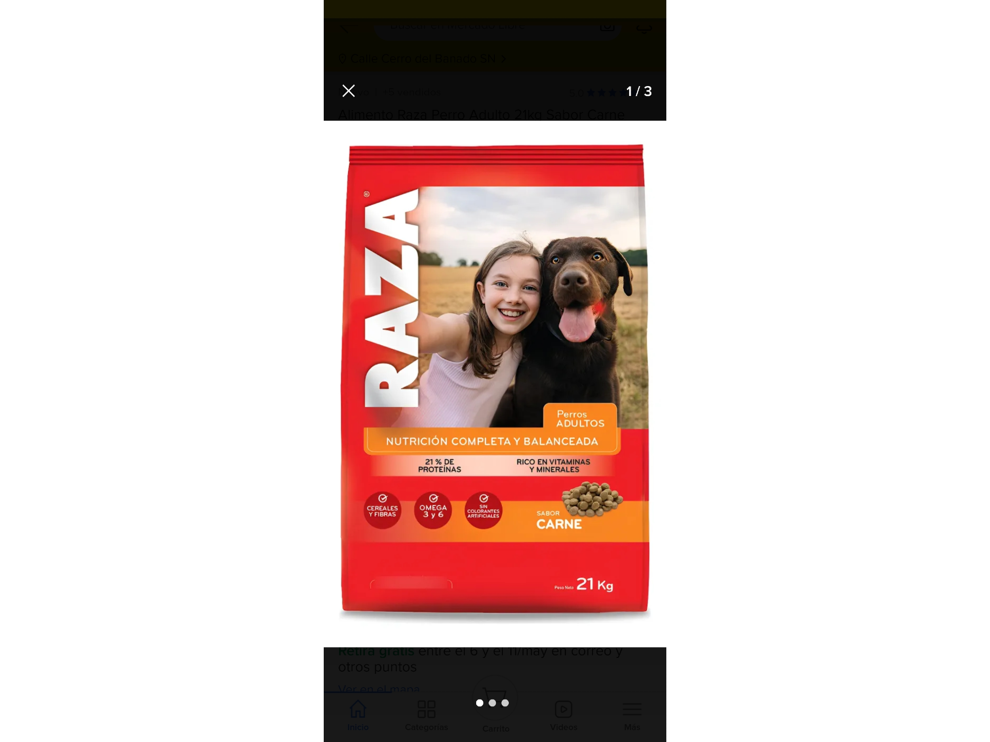 Raza perro adulto