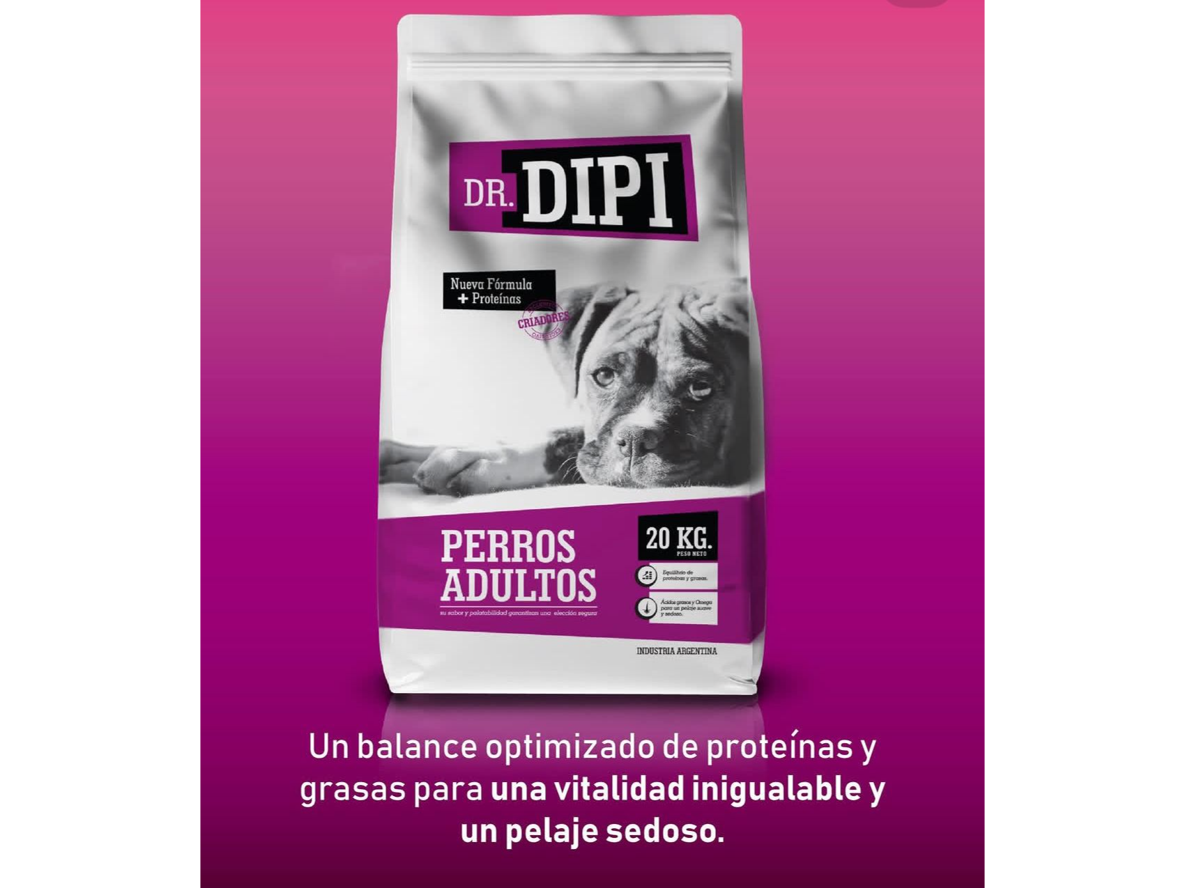 Dipi adulto
