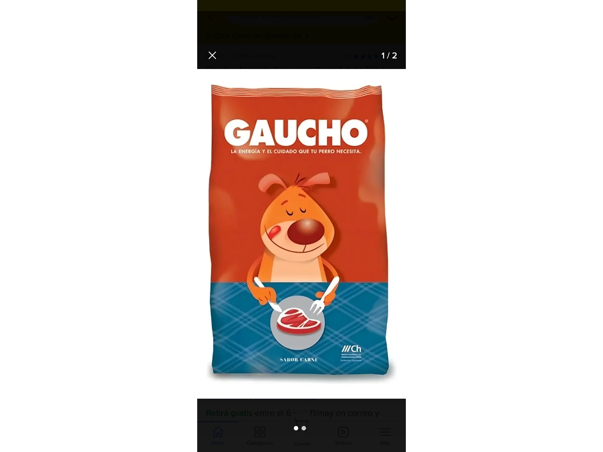 Gaucho perro adulto