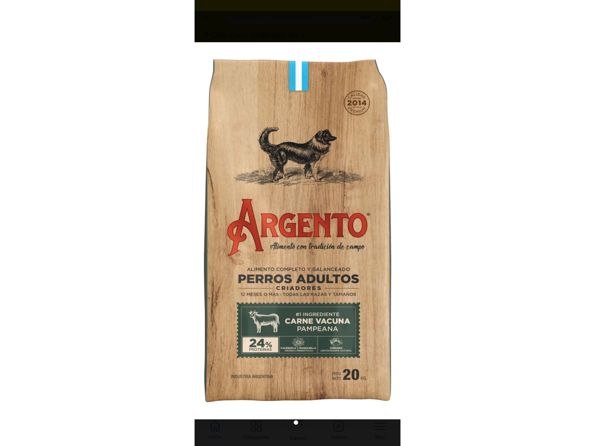 Argento perro adulto