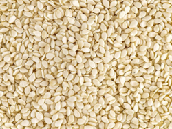 SESAMO BLANCO