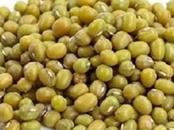POROTOS MUNG