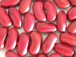 POROTOS COLORADOS