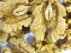 NUECES MARIPOSAS BLANCAS