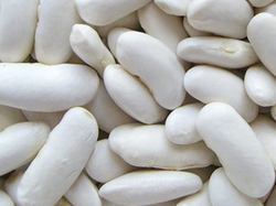 POROTOS DE ALUBIA