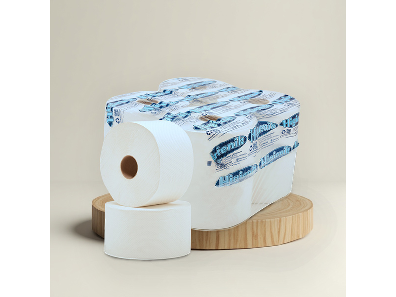 BOLS. HIGIENICO JUMBO BLANCO (HIGIENIK) 8R X 300 MTS.