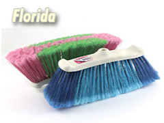 ESCOBILLON FLORIDA