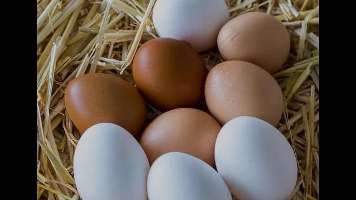 Huevos