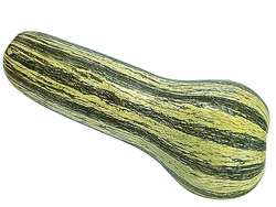 Calabaza