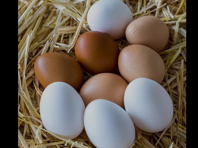 Huevos blanco grande