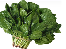 Espinaca