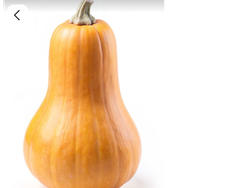 Calabacin