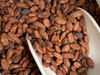 SEMILLA DE CACAO