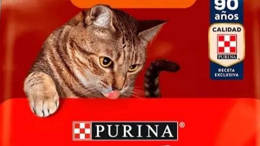 Alimentos Gatos