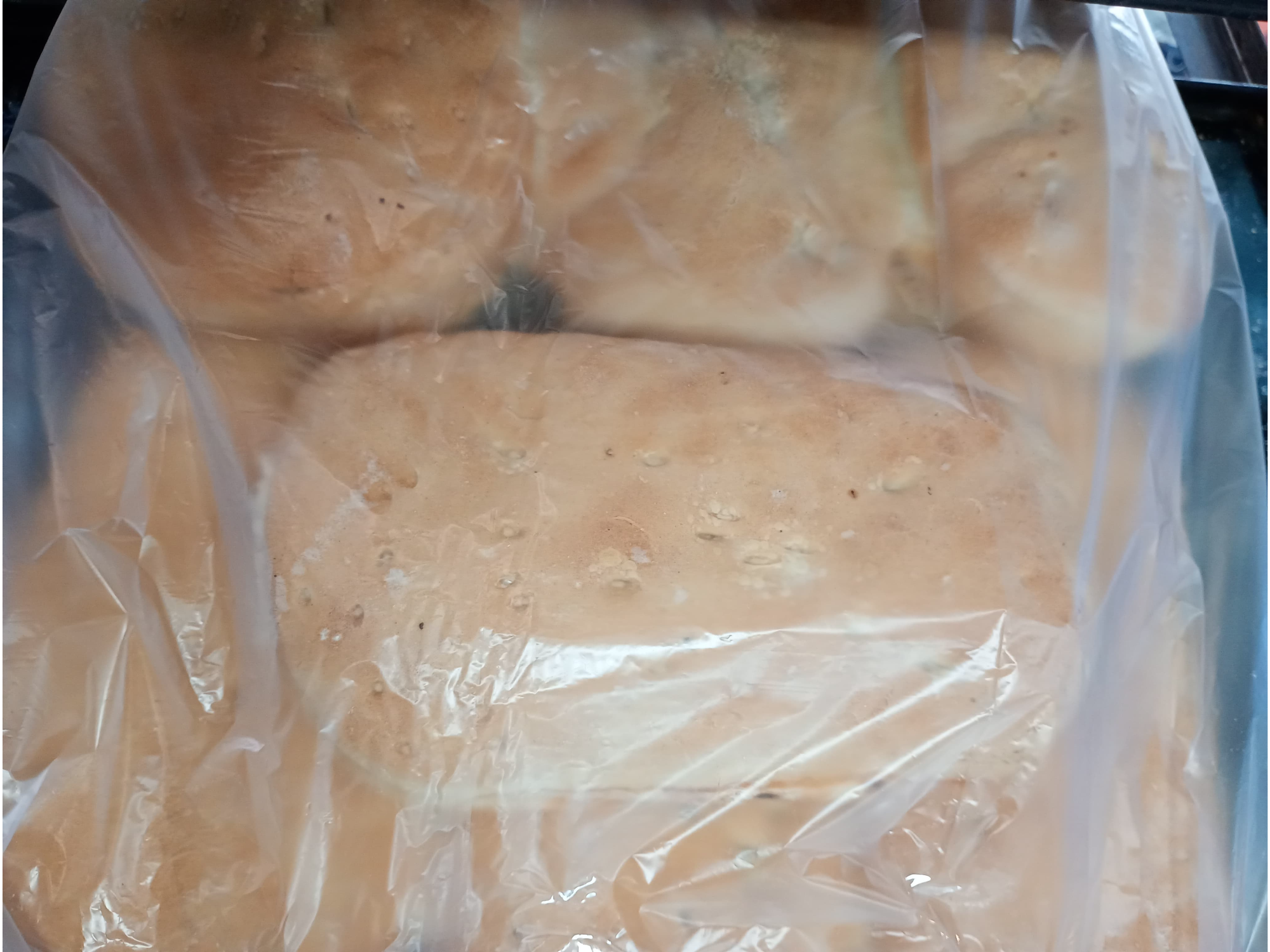 Pan de Lomo u/n