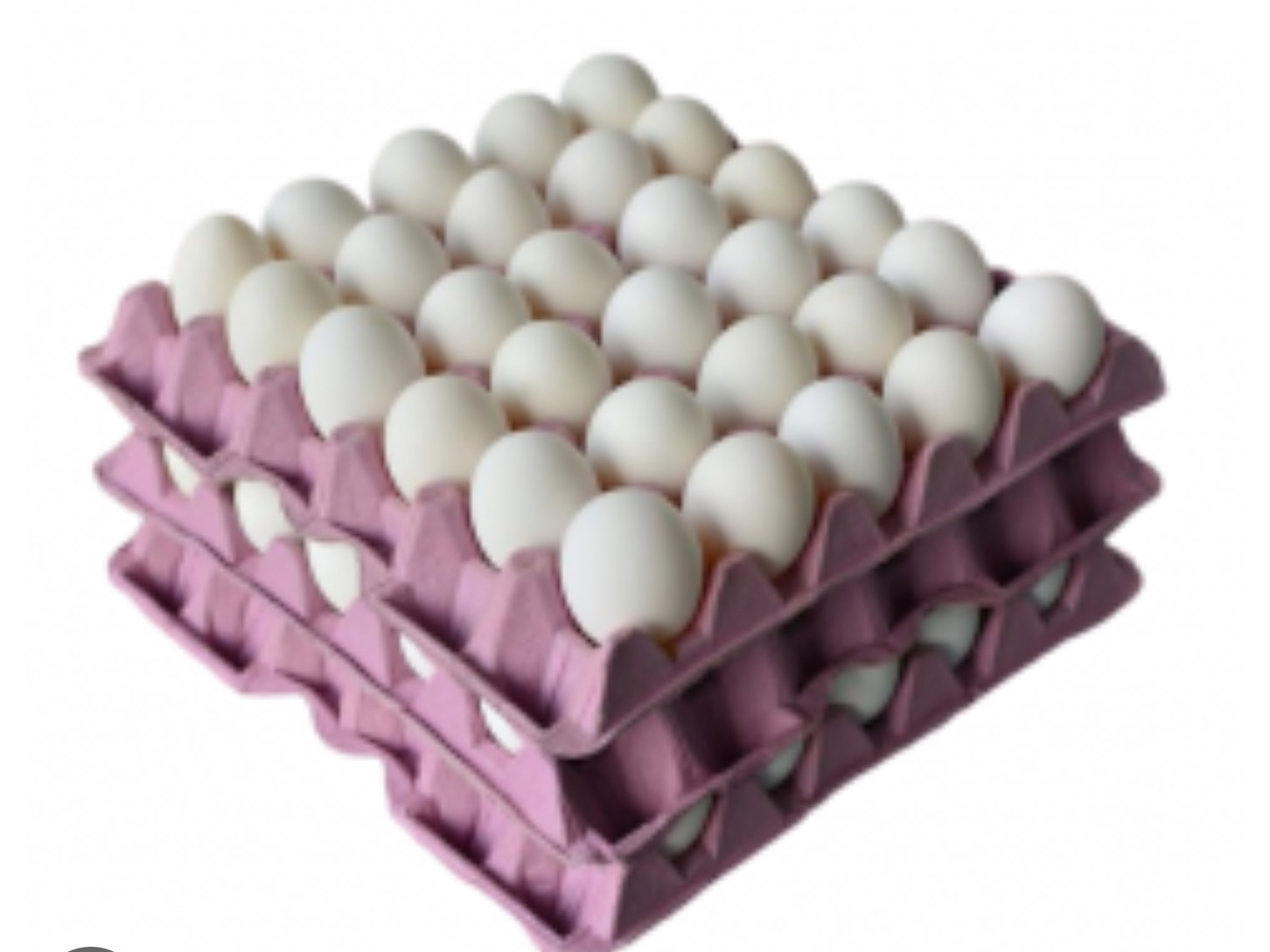 Huevos de campo blanco  N°1