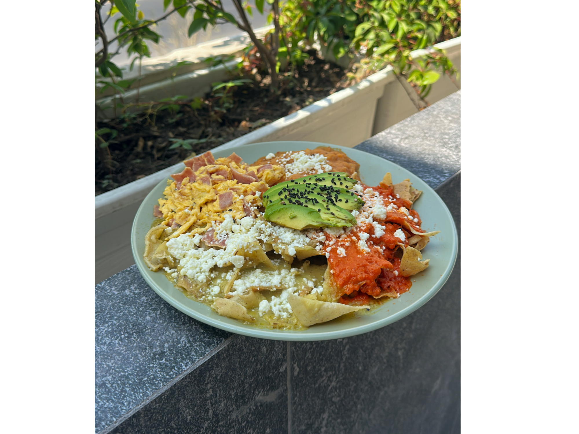 Chilaquiles mandrake