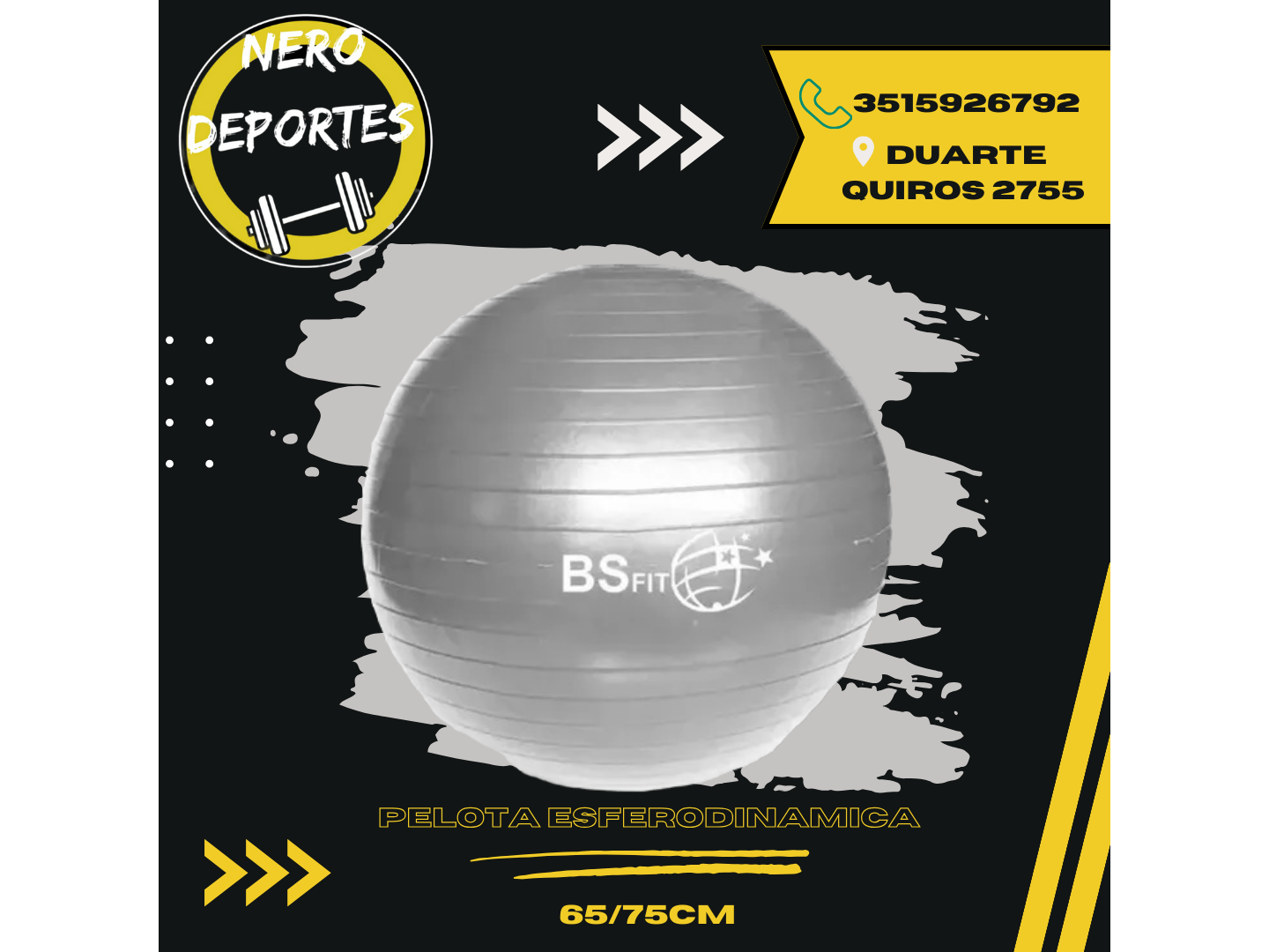 Pelota esferodinamia BSFIT