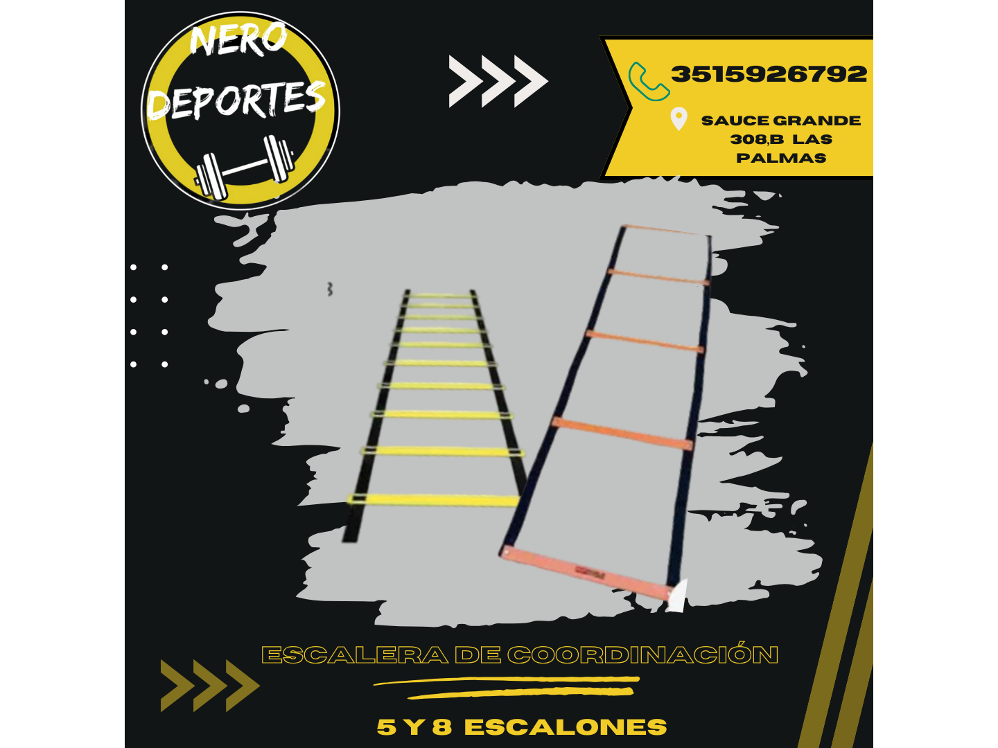 Escalera de coordinación (10 esc)