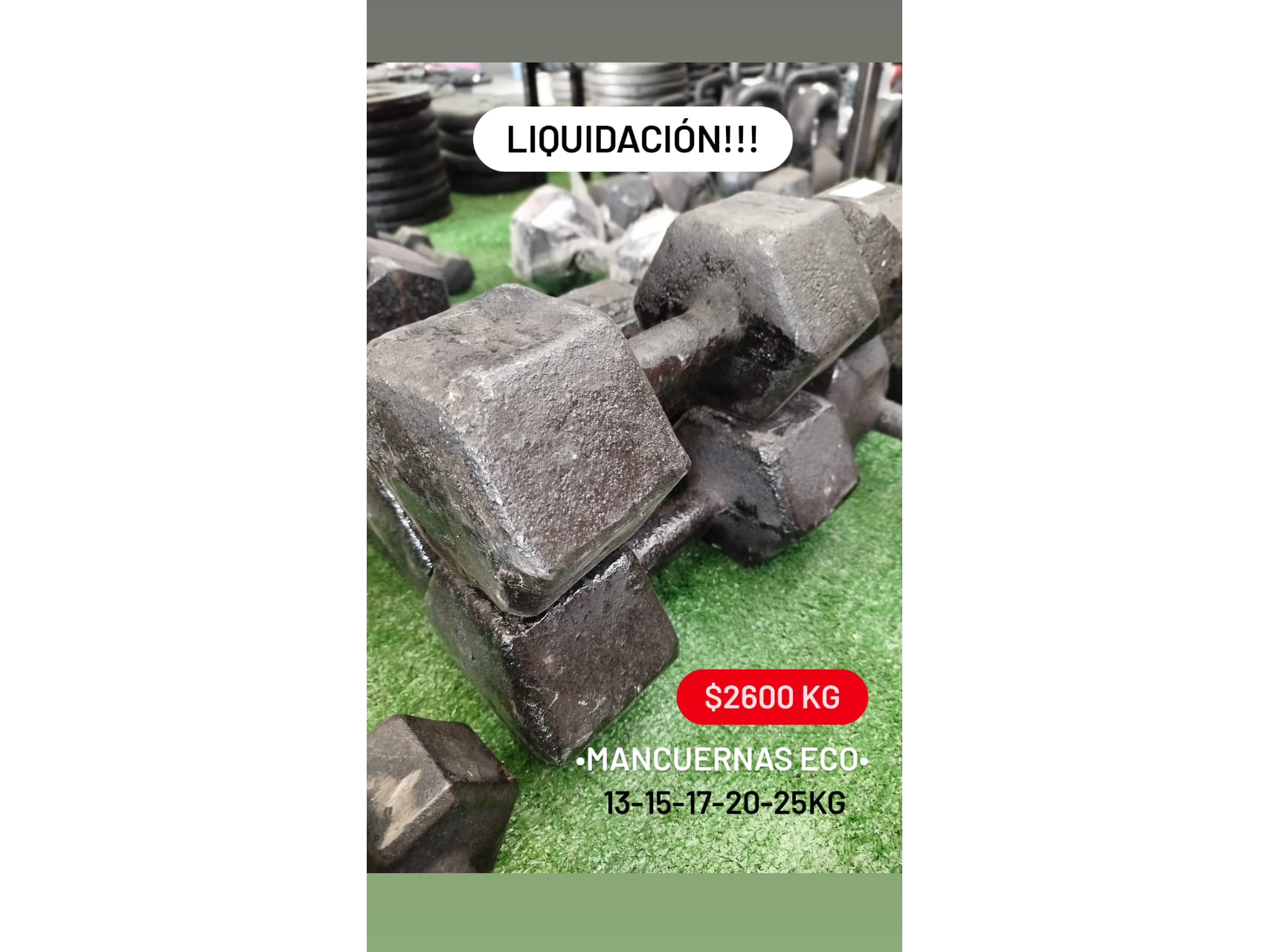 Mancuernas de fundicion economicas $2600 kg