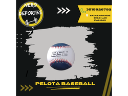 Pelota baseball