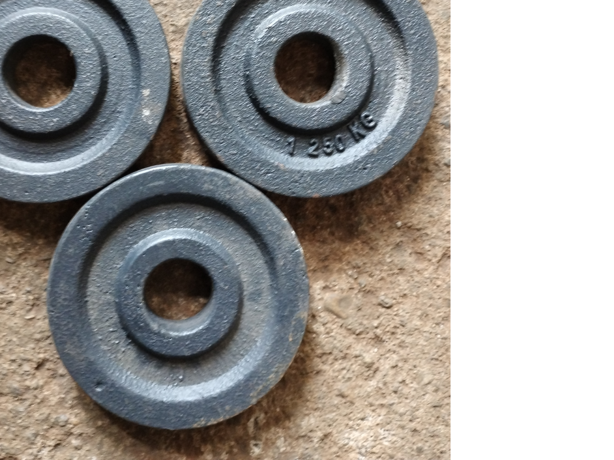 Disco 1.25 kg - 1.50 kg