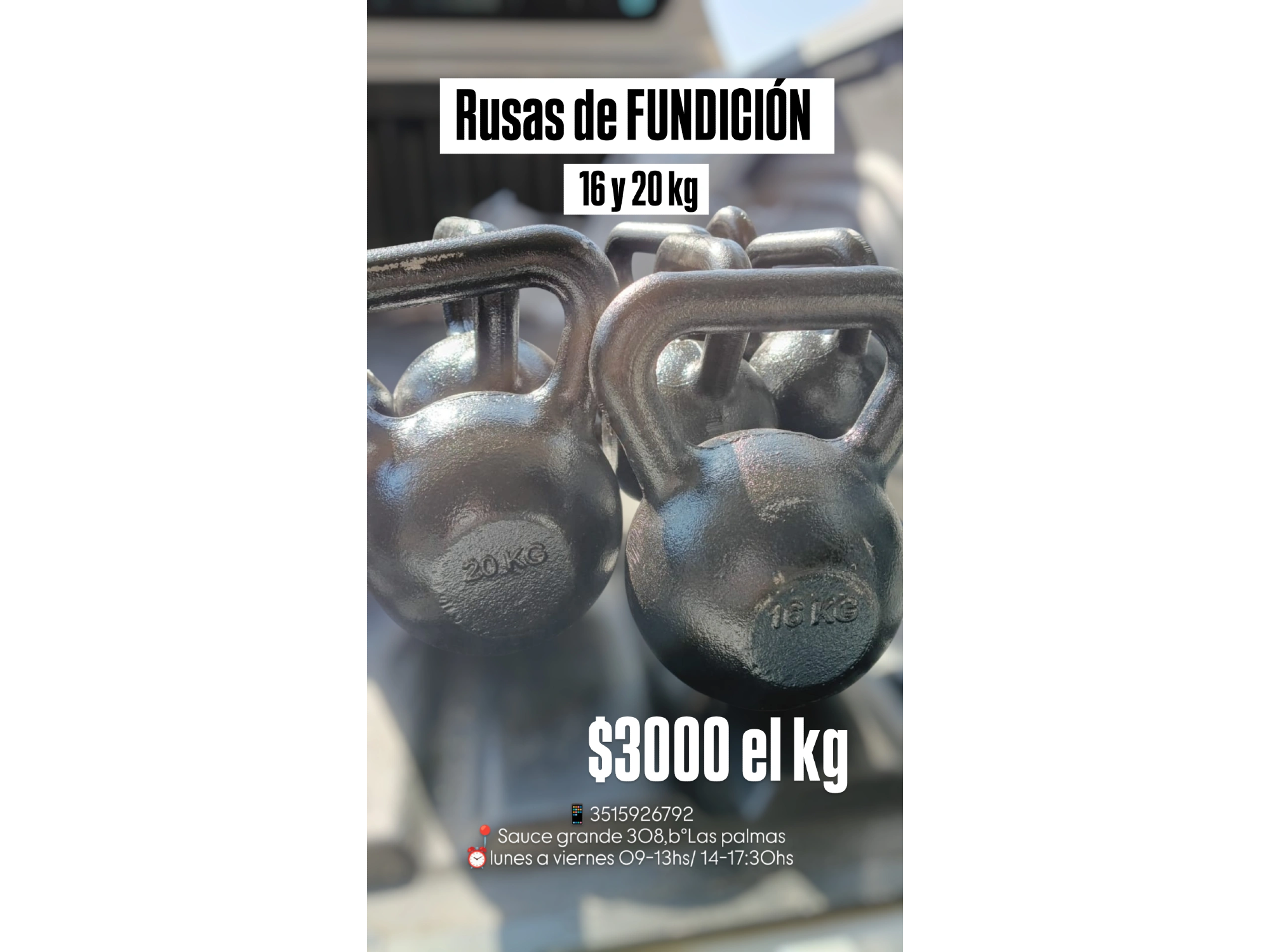 Rusas de fundición 16 y 20 kg