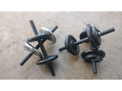 Combo 2 mancuernas + 5kg c/u