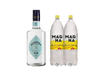 BRIGHTON SABOR + 2 MAGNA 1.5L