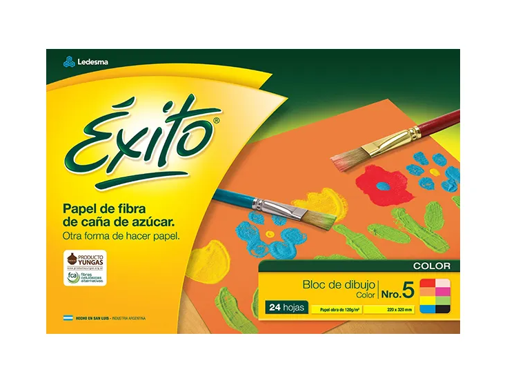 Block Dibujo Color n°5 24 hojas Éxito