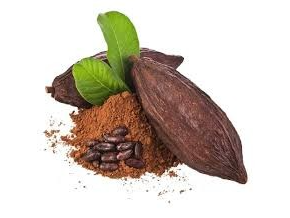 Cacao amargo 100 gr