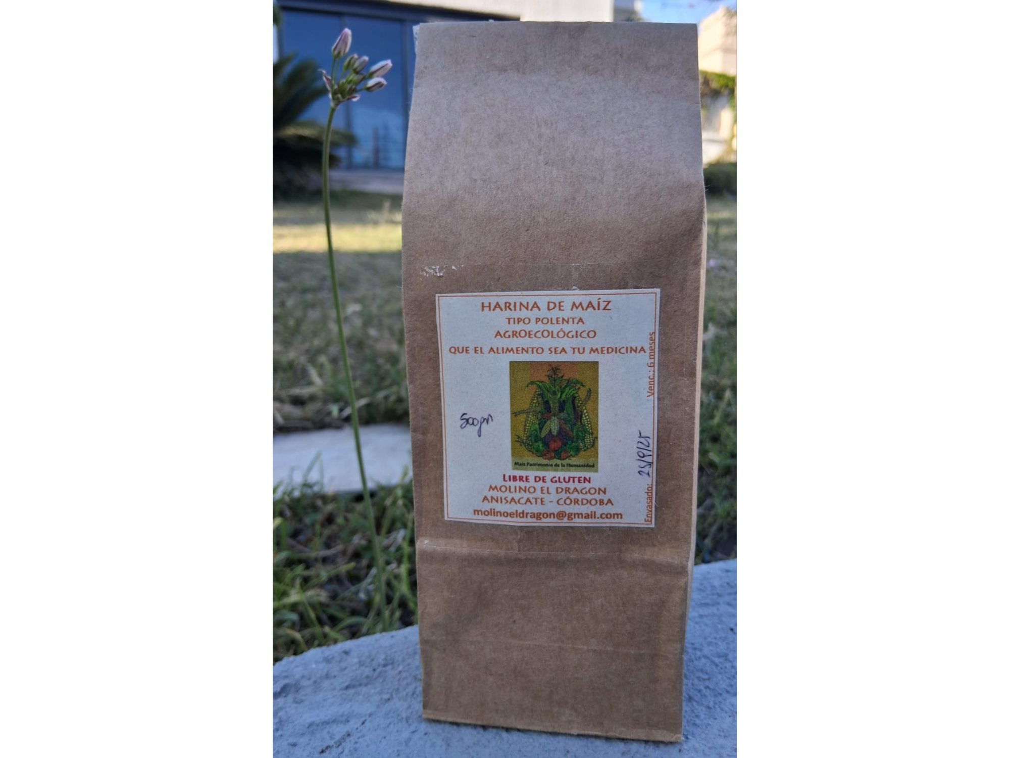 Polenta agroecologica "Molino El Dragón" 500 gr