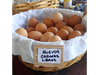 Huevos de Gallinas libres x docena
