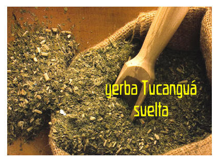 Yerba Tucanguá Agroecologica suelta