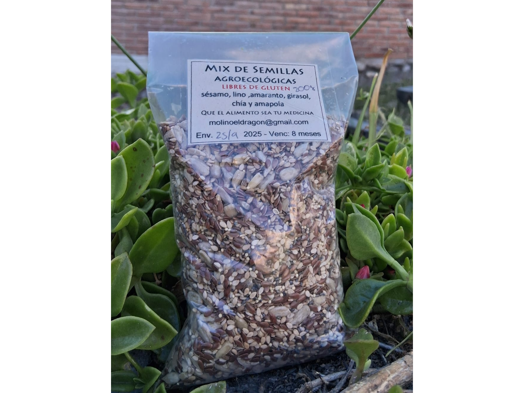 Mix de Semilla Agroecológicas"Molino El Dragon" 200 gr