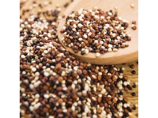 Mix Quinoa agroecologica (negra, roja , blanca ) "Molino El Dragón" 250 gr