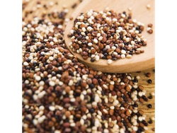 Mix Quinoa agroecologica (negra, roja , blanca ) "Molino El Dragón" 250 gr