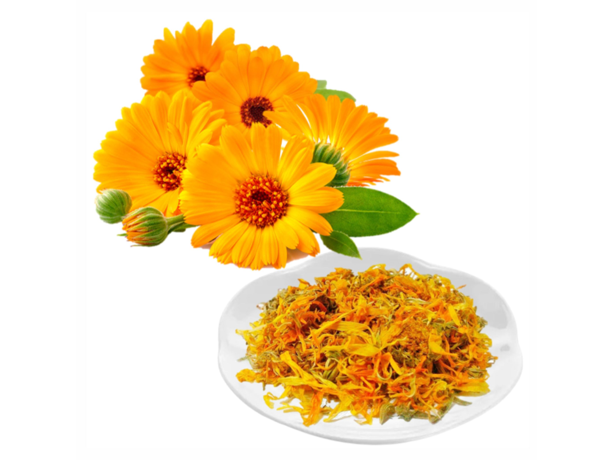 Flores secas de Calendula x 30 gr