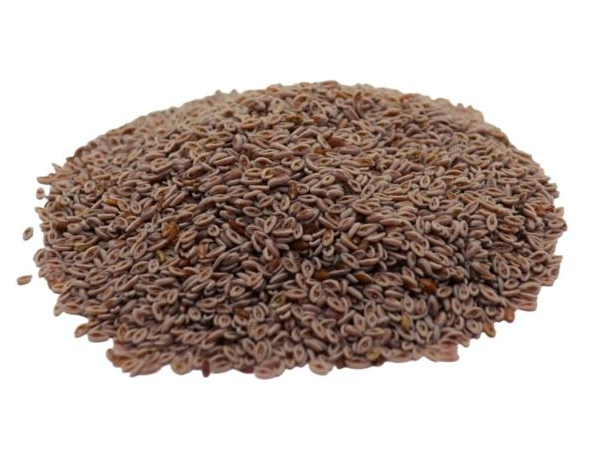 Semillas de Psyllium x 100 gr