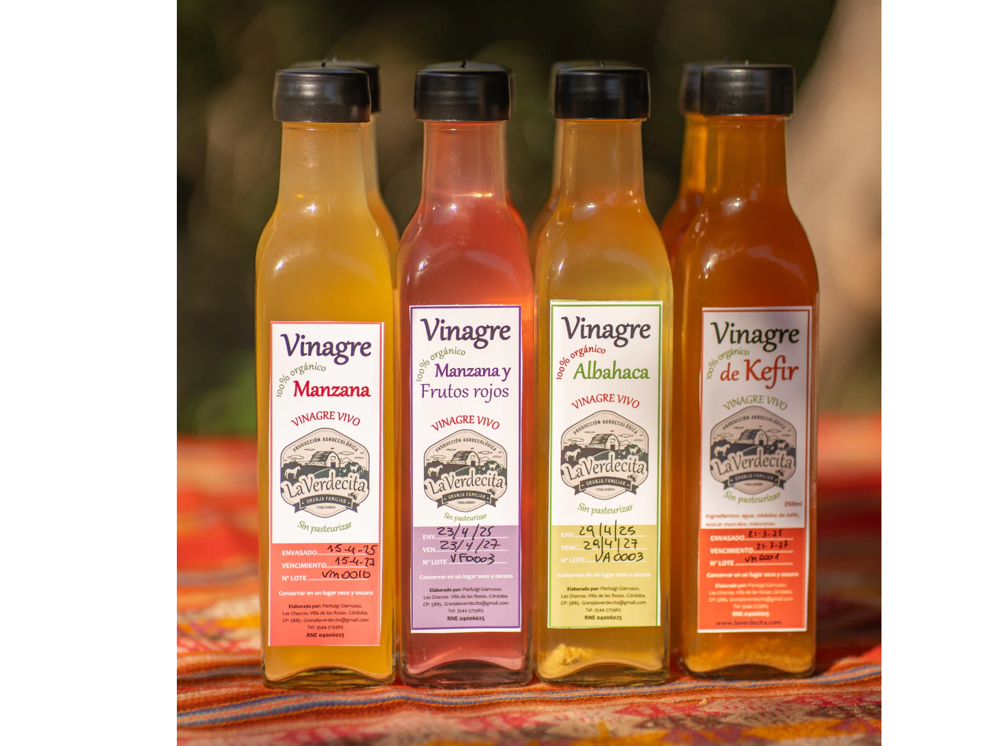 Vinagre Vivo  sin pasteurizar . "La Verdecita Granja Familiar Agroecologica" x 250 ml