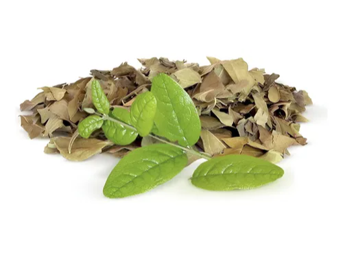 Boldo en hojas 50 gr