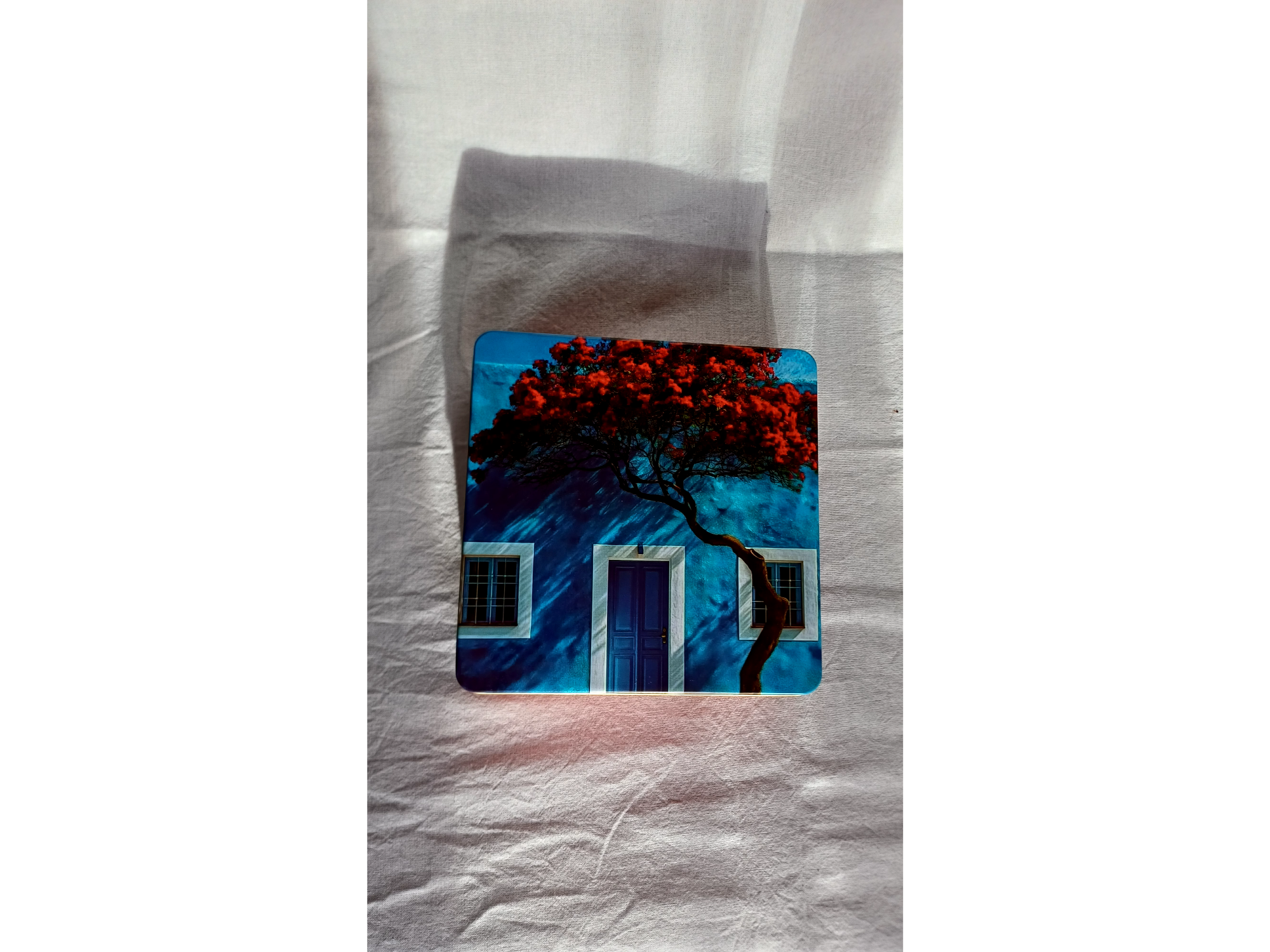 LATA PAISAJE con galletas