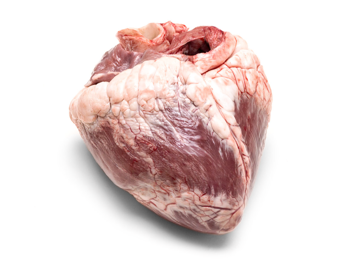 CORAZÓN de Carnelandia