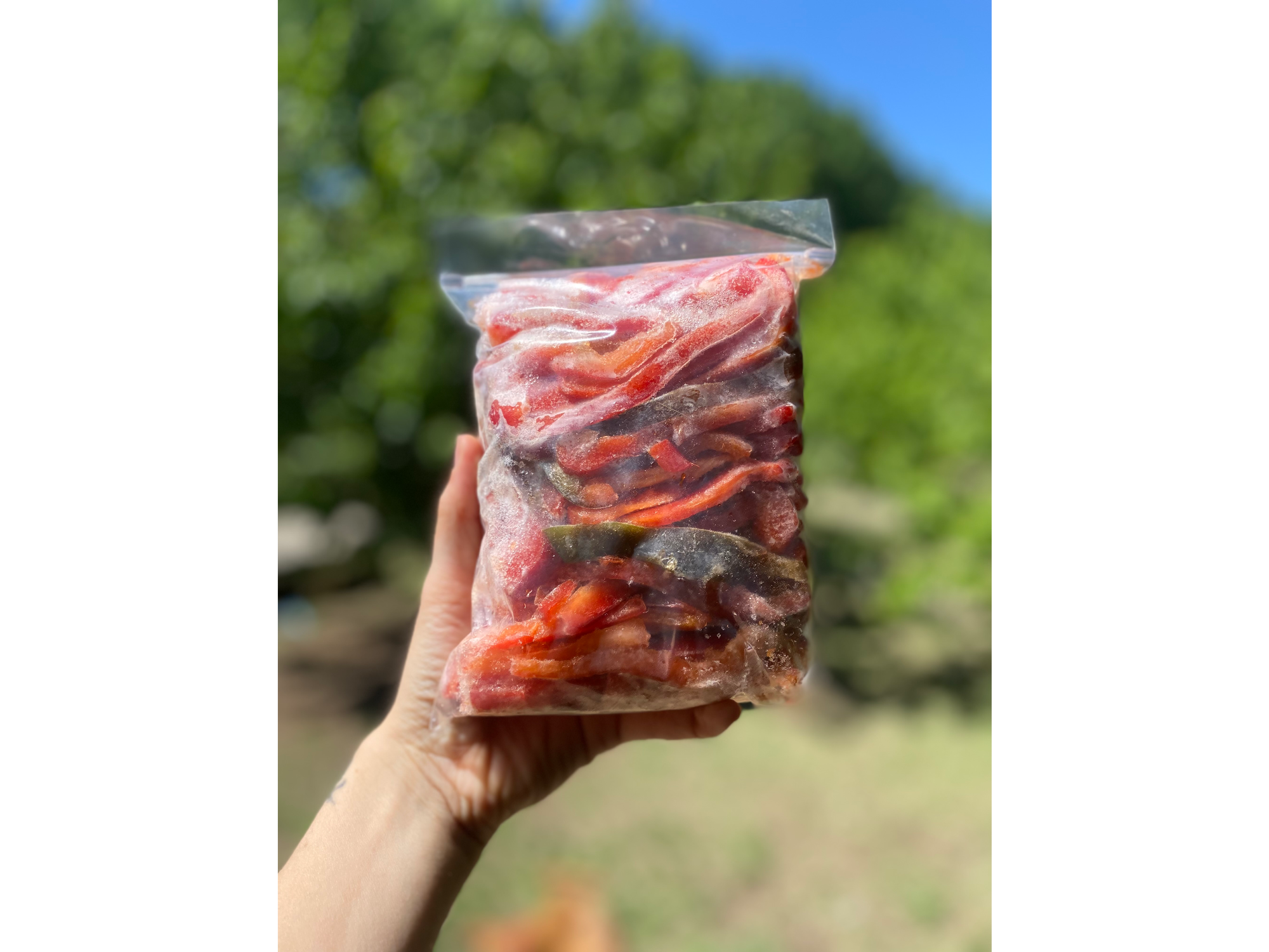 Morrón rojo en cubos 1 KG