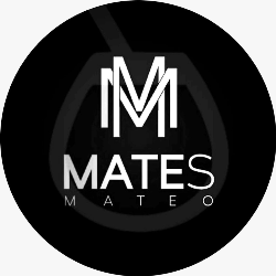 Logo Matesmateook