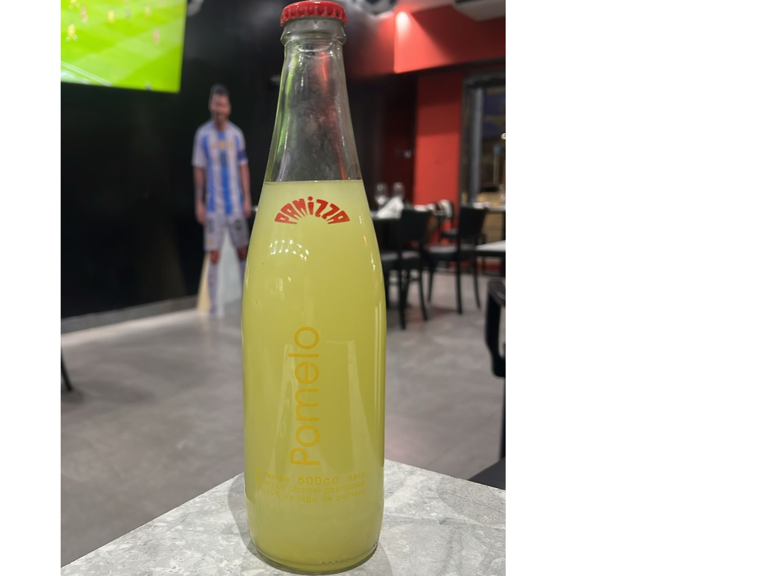 GASEOSA PANIZZA 500 ml